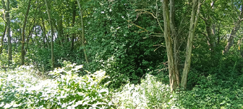 Prodej pozemku 851 m², Modřice