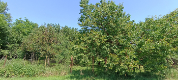 Prodej pozemku 851 m², Modřice