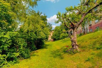 Zahrada domu - Pronájem bytu 2+kk v osobním vlastnictví 54 m², Praha 4 - Podolí