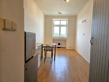 Pokoj - Pronájem bytu 1+kk v osobním vlastnictví 19 m², Praha 3 - Žižkov