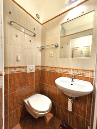 Koupelna+WC - Pronájem bytu 1+kk v osobním vlastnictví 19 m², Praha 3 - Žižkov