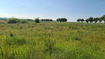 Prodej pozemku 16313 m², Březnice