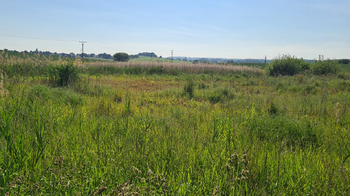 Prodej pozemku 16313 m², Březnice