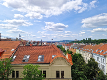 Pronájem bytu 2+kk v družstevním vlastnictví 62 m², Praha 3 - Žižkov