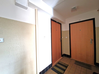 Pronájem bytu 2+kk v družstevním vlastnictví 62 m², Praha 3 - Žižkov