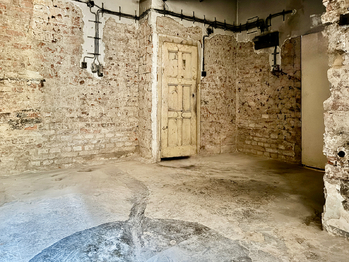 hlavní místnost - Prodej bytu 2+kk v osobním vlastnictví 40 m², Praha 3 - Vinohrady
