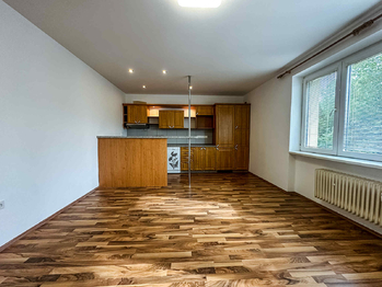 Obývací pokoj - Pronájem bytu 2+kk v osobním vlastnictví 50 m², Benešov