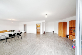 hlavní místnost - Pronájem obchodních prostor 66 m², Neslovice 