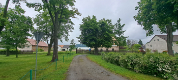 Prodej pozemku 3821 m², Okna