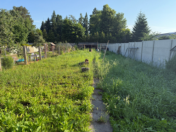 Prodej domu 90 m², Vodňany