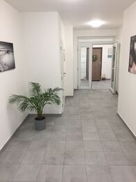 Pronájem bytu 2+kk v osobním vlastnictví 64 m², Praha 9 - Klánovice