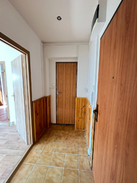 Pronájem bytu 2+1 v družstevním vlastnictví 43 m², Havířov