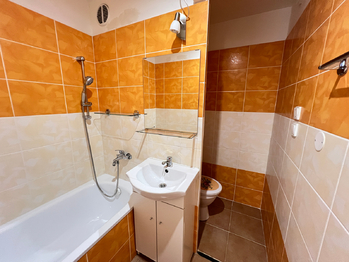 Pronájem bytu 2+1 v družstevním vlastnictví 43 m², Havířov