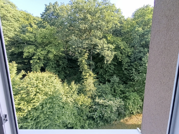Prodej bytu 3+1 v osobním vlastnictví 63 m², Litvínov
