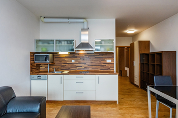 Prodej bytu 2+kk v osobním vlastnictví 55 m², Lipno nad Vltavou