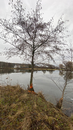 Prodej pozemku 8000 m², Napajedla