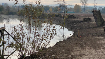 Prodej pozemku 8000 m², Napajedla