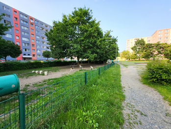 Park Malého prince - psí hřiště - Prodej bytu 2+1 v osobním vlastnictví 55 m², Olomouc