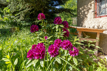 Prodej chaty / chalupy 26 m², Krňany