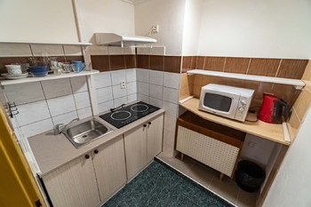 Prodej ubytovacího zařízení 360 m², Velké Opatovice