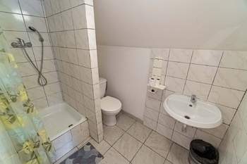 Prodej ubytovacího zařízení 360 m², Velké Opatovice