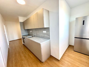 Pronájem bytu 2+1 v družstevním vlastnictví 70 m², Praha 4 - Kamýk