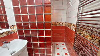 Koupelna - Pronájem bytu 2+1 v osobním vlastnictví 63 m², Vyškov