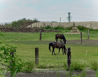 Prodej domu 138 m², Nová Ves