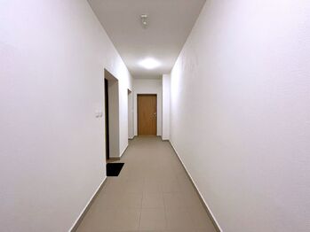 Pronájem bytu 4+kk v družstevním vlastnictví 75 m², České Budějovice