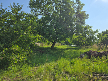 Prodej pozemku 1428 m², Viničné Šumice