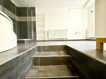 Prodej domu 300 m², Bílina