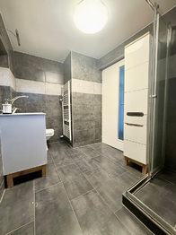 Prodej domu 300 m², Bílina