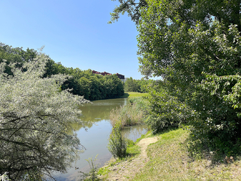 Park Aloisov - Prodej bytu 3+1 v družstevním vlastnictví 99 m², Praha 9 - Černý Most