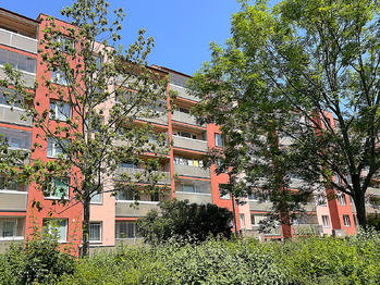 Pohled na dům - Prodej bytu 3+1 v družstevním vlastnictví 99 m², Praha 9 - Černý Most