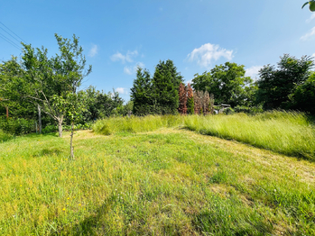 Pronájem pozemku 461 m², Hodonín