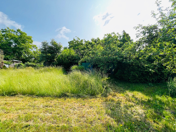 Pronájem pozemku 461 m², Hodonín