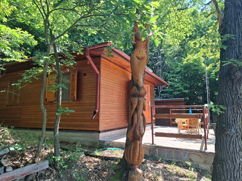 Prodej chaty / chalupy 60 m², Starý Petřín