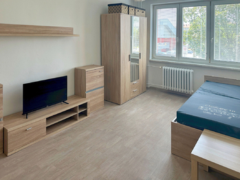 Pronájem bytu 1+1 v osobním vlastnictví 36 m², Havířov