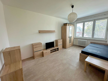 Pronájem bytu 1+1 v osobním vlastnictví 36 m², Havířov