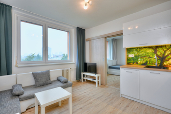 Prodej bytu 1+1 v osobním vlastnictví 35 m², Brno