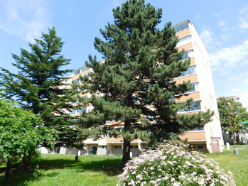 Prodej bytu 2+1 v osobním vlastnictví 58 m², Žďár nad Sázavou
