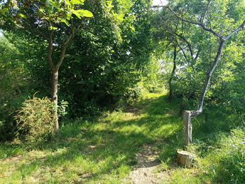 Prodej domu 110 m², Stálky