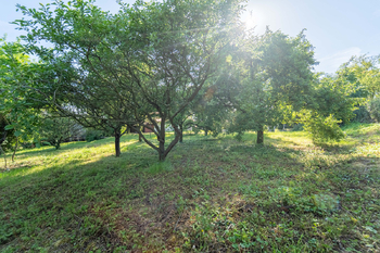 Soudední zahrada (stavební pozemek 805 m2) - Prodej domu 94 m², Křečhoř