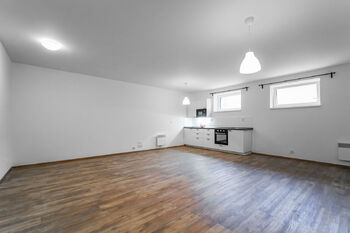Pronájem bytu 1+kk v osobním vlastnictví 50 m², Praha 7 - Holešovice