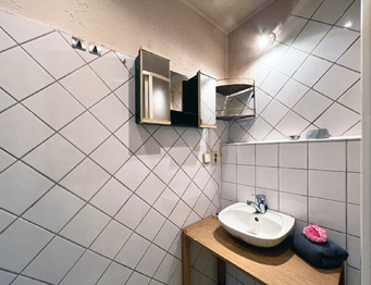 Koupelna - Prodej bytu 1+1 v družstevním vlastnictví 38 m², Nejdek