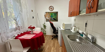 Pronájem bytu 1+1 v osobním vlastnictví 36 m², Ostrava