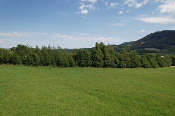 +420 739 604 767 I www.vaclavadamcik.cz I vaclav.adamcik@re-max.cz I prodej bytu Ostrava - Prodej pozemku 4475 m², Ostravice