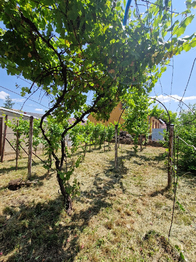 Prodej domu 84 m², Krhovice