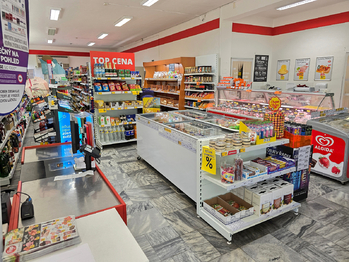Prodej domu 380 m², Tlumačov