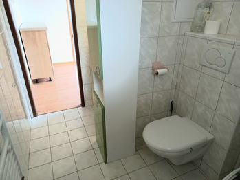 Koupelna a wc. - Pronájem bytu 3+kk v osobním vlastnictví 90 m², Veselí nad Lužnicí